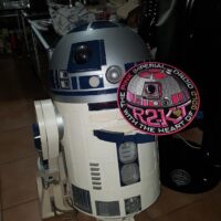 R2-KT large patch